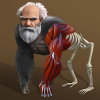 Idle Evolution - from Cell to Human MOD APK